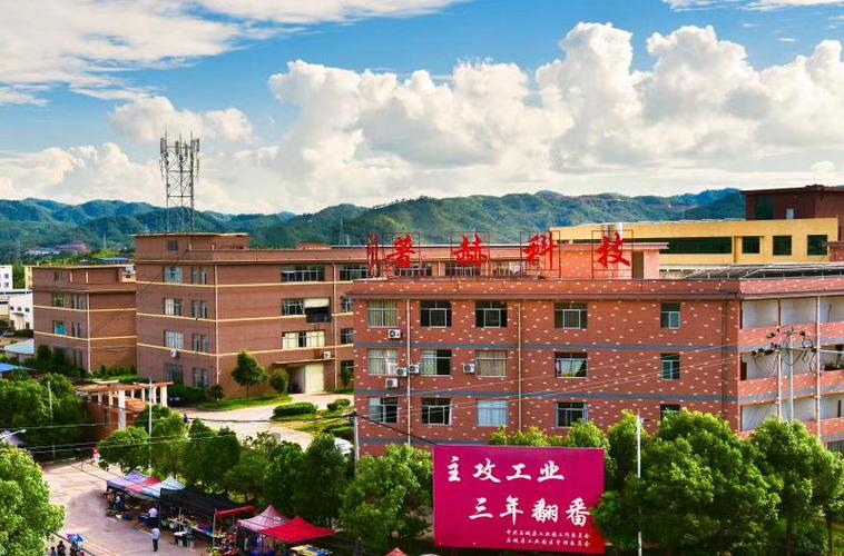 朱林春公司经营范围解析 电子产品生产与销售